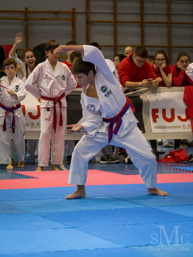 Copa Seul 2018 (119).jpg